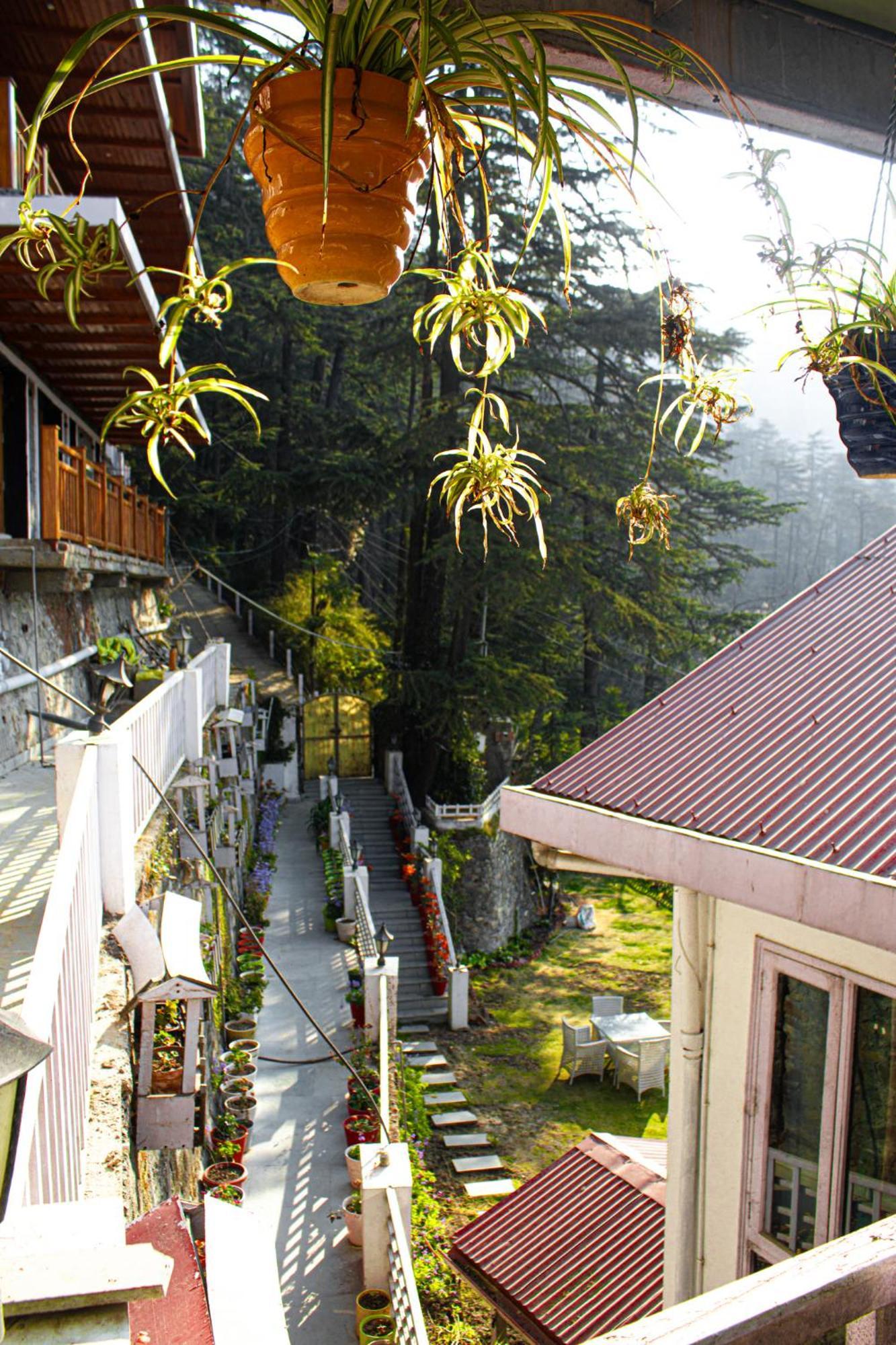 Villa Whispering Pines Shimla Exterior foto